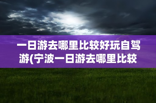 一日游去哪里比较好玩自驾游(宁波一日游去哪里比较好玩自驾游)