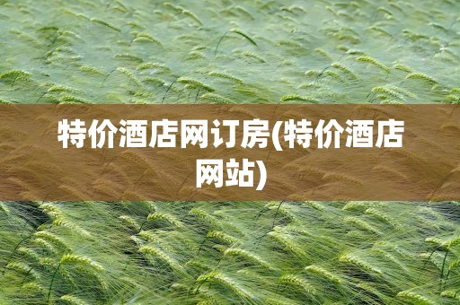 特价酒店网订房(特价酒店网站)
