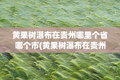黄果树瀑布在贵州哪里个省哪个市(黄果树瀑布在贵州哪个市哪个县)