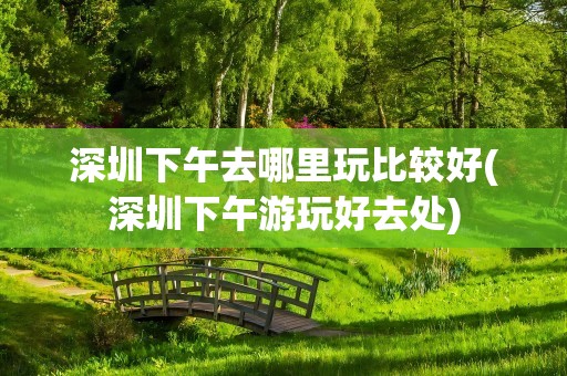 深圳下午去哪里玩比较好(深圳下午游玩好去处)