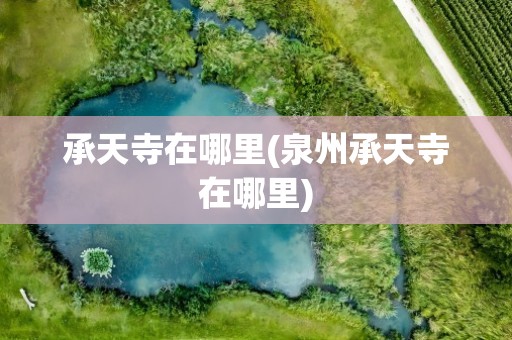 承天寺在哪里(泉州承天寺在哪里)
