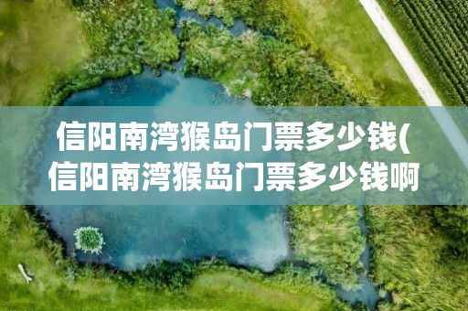 信阳南湾猴岛门票多少钱(信阳南湾猴岛门票多少钱啊)