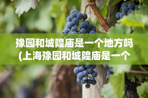 豫园和城隍庙是一个地方吗(上海豫园和城隍庙是一个地方吗)