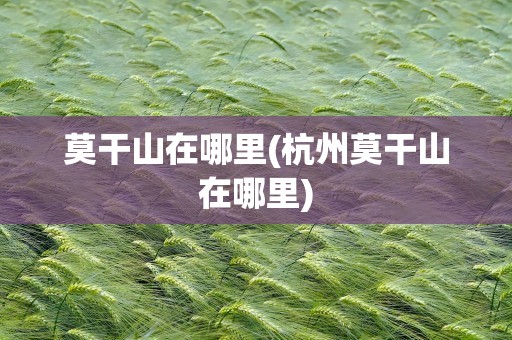 莫干山在哪里(杭州莫干山在哪里)