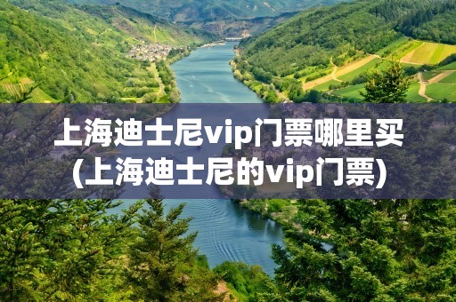 上海迪士尼vip门票哪里买(上海迪士尼的vip门票)