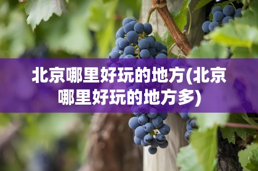北京哪里好玩的地方(北京哪里好玩的地方多)