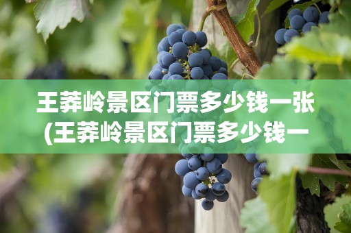 王莽岭景区门票多少钱一张(王莽岭景区门票多少钱一张啊)
