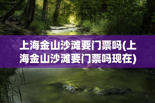 上海金山沙滩要门票吗(上海金山沙滩要门票吗现在)