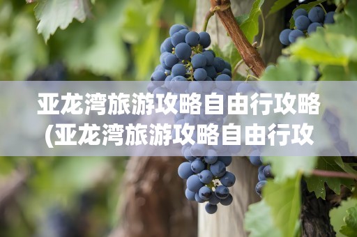 亚龙湾旅游攻略自由行攻略(亚龙湾旅游攻略自由行攻略图)