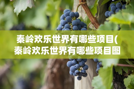 秦岭欢乐世界有哪些项目(秦岭欢乐世界有哪些项目图片)