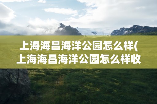 上海海昌海洋公园怎么样(上海海昌海洋公园怎么样收费)
