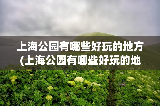 上海公园有哪些好玩的地方(上海公园有哪些好玩的地方推荐)