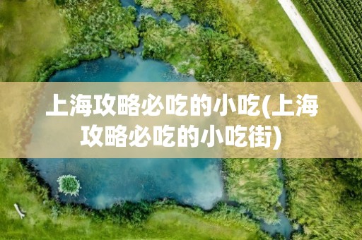 上海攻略必吃的小吃(上海攻略必吃的小吃街)