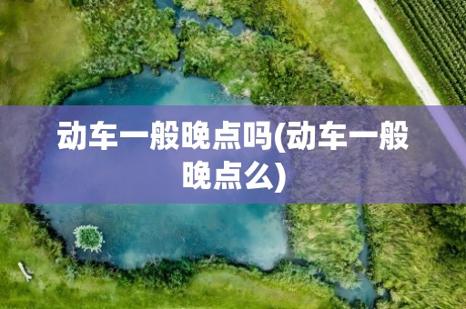 动车一般晚点吗(动车一般晚点么)