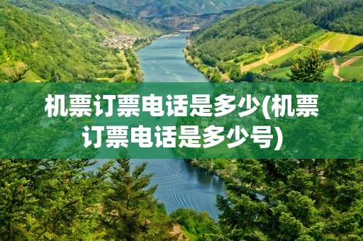 机票订票电话是多少(机票订票电话是多少号)