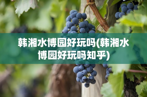 韩湘水博园好玩吗(韩湘水博园好玩吗知乎)
