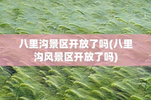 八里沟景区开放了吗(八里沟风景区开放了吗)
