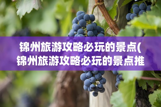 锦州旅游攻略必玩的景点(锦州旅游攻略必玩的景点推荐)
