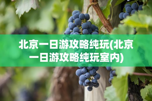 北京一日游攻略纯玩(北京一日游攻略纯玩室内)