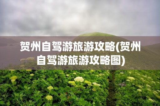 贺州自驾游旅游攻略(贺州自驾游旅游攻略图)