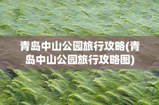 青岛中山公园旅行攻略(青岛中山公园旅行攻略图)