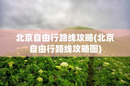 北京自由行路线攻略(北京自由行路线攻略图)