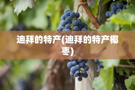 迪拜的特产(迪拜的特产椰枣)