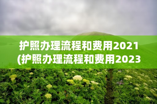 护照办理流程和费用2021(护照办理流程和费用2023)