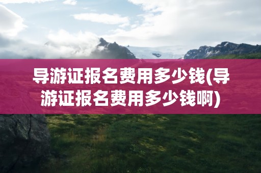 导游证报名费用多少钱(导游证报名费用多少钱啊)
