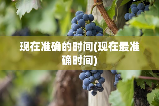 现在准确的时间(现在最准确时间)