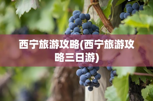 西宁旅游攻略(西宁旅游攻略三日游)
