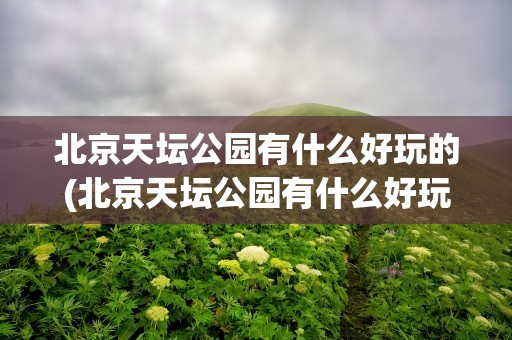北京天坛公园有什么好玩的(北京天坛公园有什么好玩的地方)