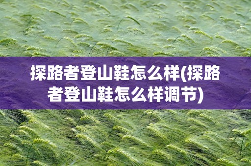探路者登山鞋怎么样(探路者登山鞋怎么样调节)