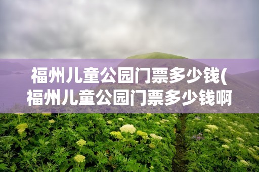 福州儿童公园门票多少钱(福州儿童公园门票多少钱啊)