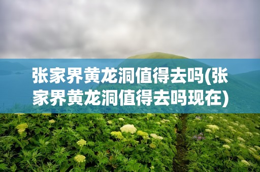 张家界黄龙洞值得去吗(张家界黄龙洞值得去吗现在)