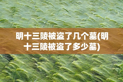 明十三陵被盗了几个墓(明十三陵被盗了多少墓)