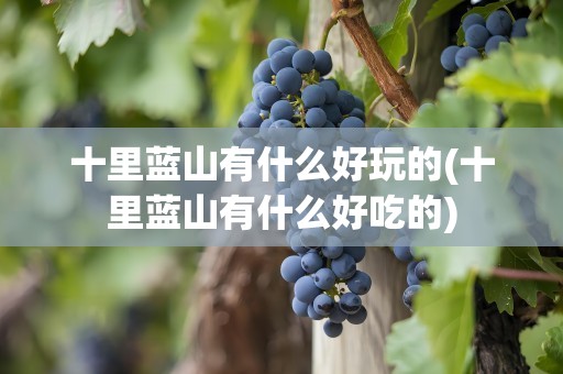 十里蓝山有什么好玩的(十里蓝山有什么好吃的)