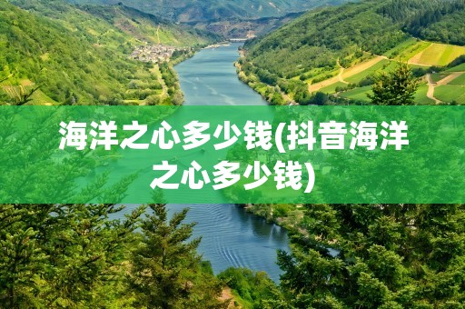 海洋之心多少钱(抖音海洋之心多少钱)