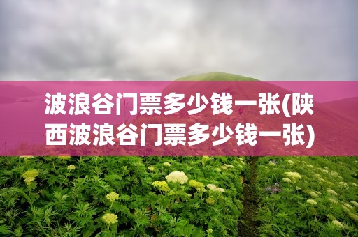 波浪谷门票多少钱一张(陕西波浪谷门票多少钱一张)