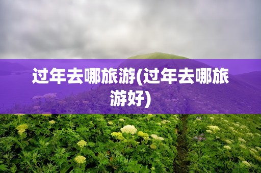 过年去哪旅游(过年去哪旅游好)