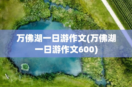 万佛湖一日游作文(万佛湖一日游作文600)