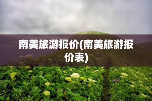 南美旅游报价(南美旅游报价表)