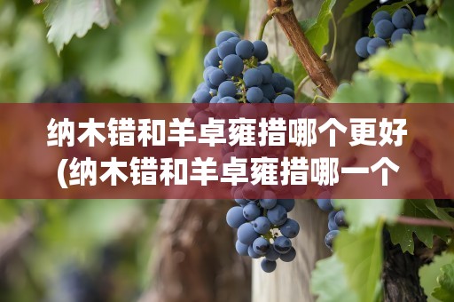 纳木错和羊卓雍措哪个更好(纳木错和羊卓雍措哪一个更美)