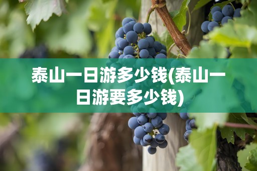 泰山一日游多少钱(泰山一日游要多少钱)