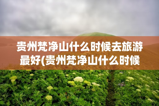 贵州梵净山什么时候去旅游最好(贵州梵净山什么时候去旅游最好净)