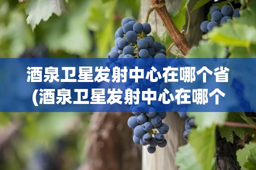酒泉卫星发射中心在哪个省(酒泉卫星发射中心在哪个省会)