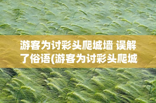 游客为讨彩头爬城墙 误解了俗语(游客为讨彩头爬城墙时事评论)