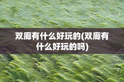 双廊有什么好玩的(双廊有什么好玩的吗)