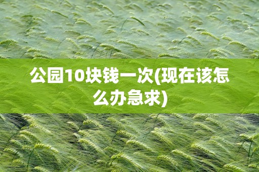 公园10块钱一次(现在该怎么办急求)