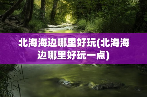 北海海边哪里好玩(北海海边哪里好玩一点)